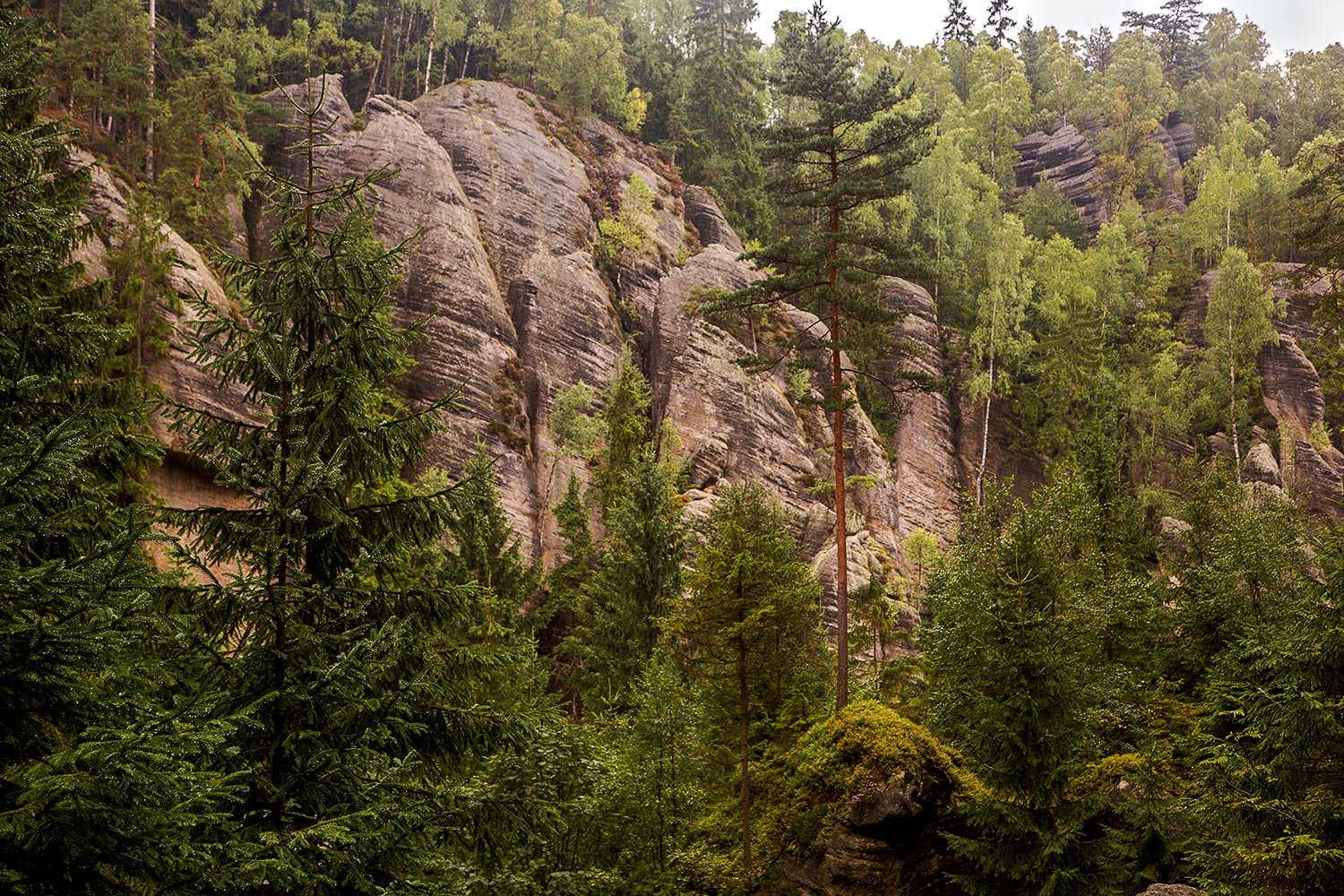 Teplice Rocks
